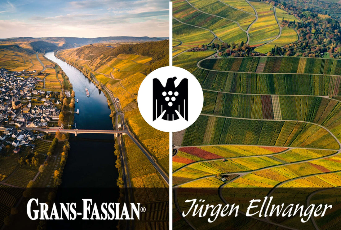 Grans Fassian and Jürgen Ellwanger VDP Wineries
