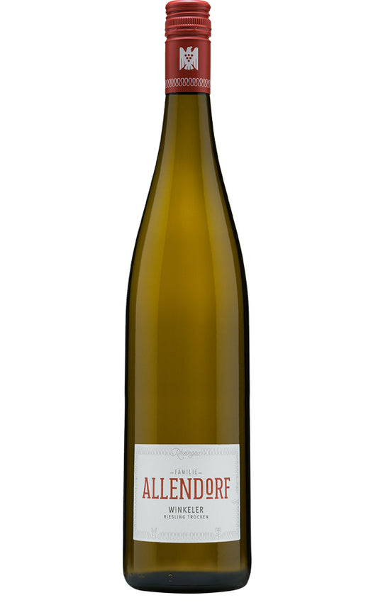 Allendorf 2022 Winkler Riesling dry white wine Magnum