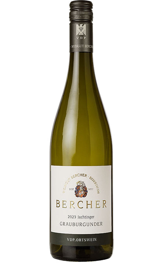 Bercher 2023 Jechtinger Grauburgunder dry
