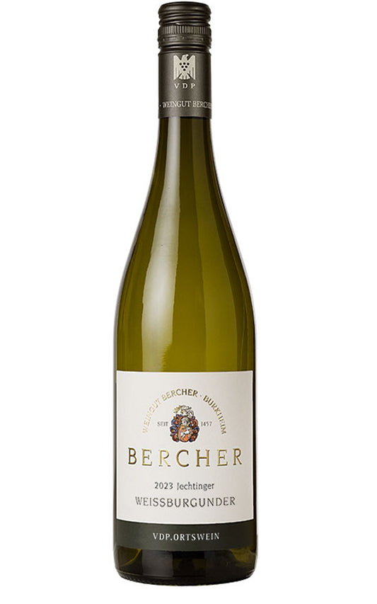 Bercher 2023 Jechtinger Weissburgunder dry