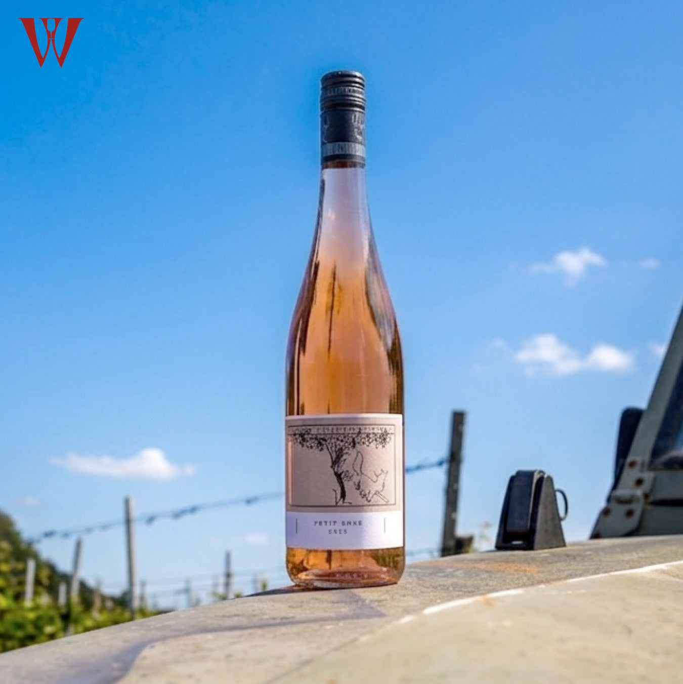 Becker 2024 Petit Rosé Cuveé dry