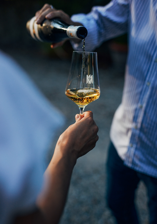 Introduction to German Whites (6 bottle case)