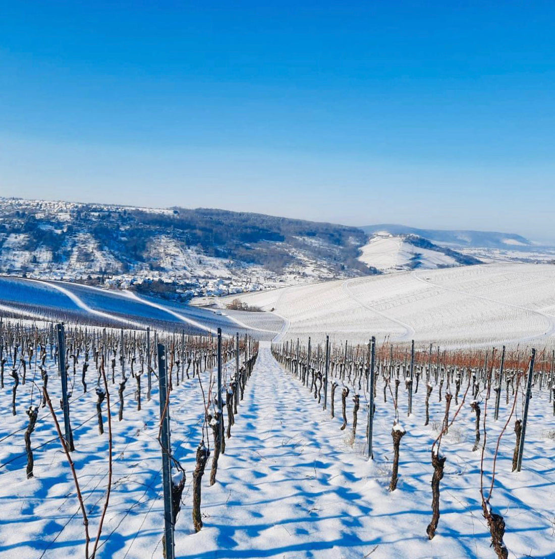 The Gift of Time: Why Mature Wines Make Christmas Special
