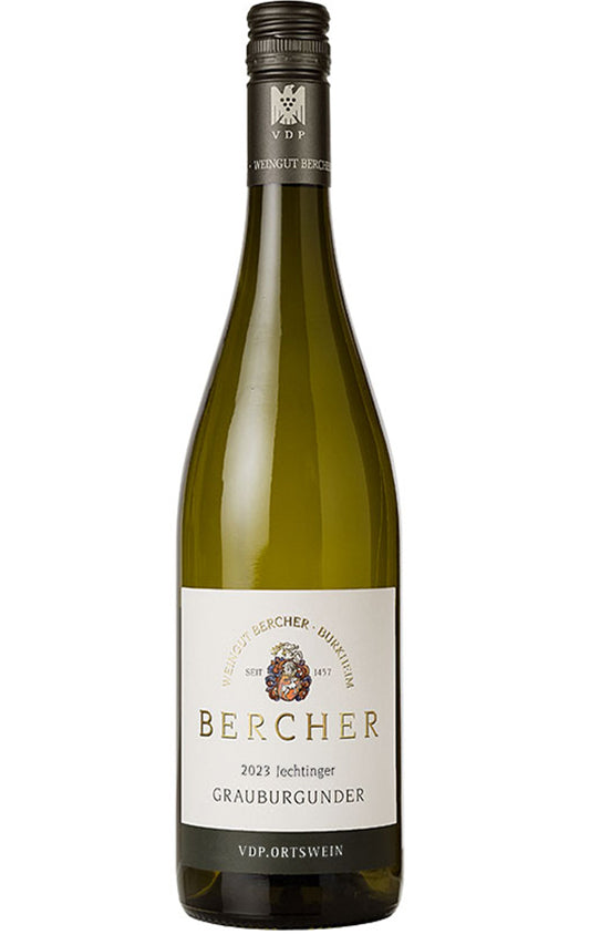 Bercher 2024 Jechtinger Grauburgunder dry