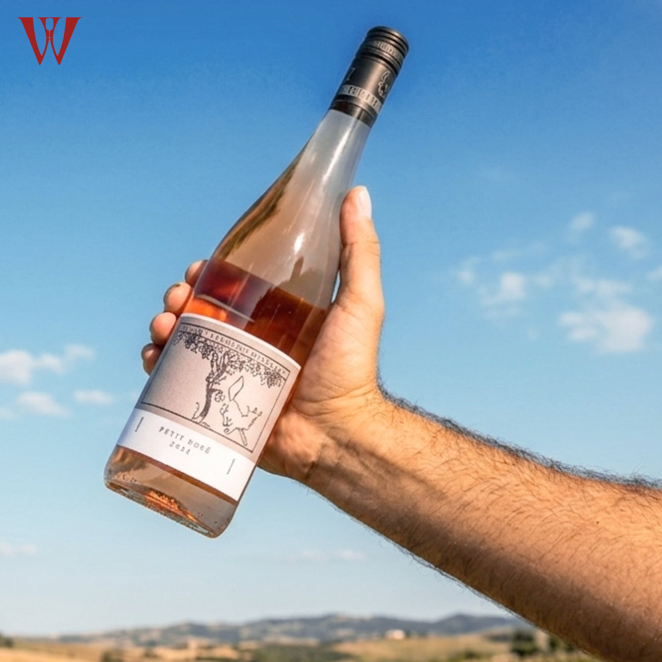 Becker 2024 Petit Rosé Cuveé dry