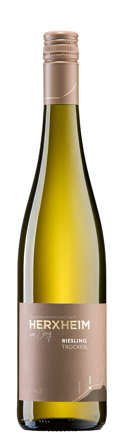 Co-operative Herxheim 2024 HANG Riesling dry